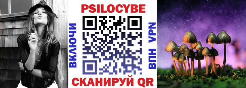 магазин    Мосальск  Псилоцибиновые грибы MAGIC MUSHROOMS 